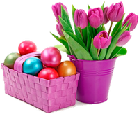 tulips and a basket of eggs
